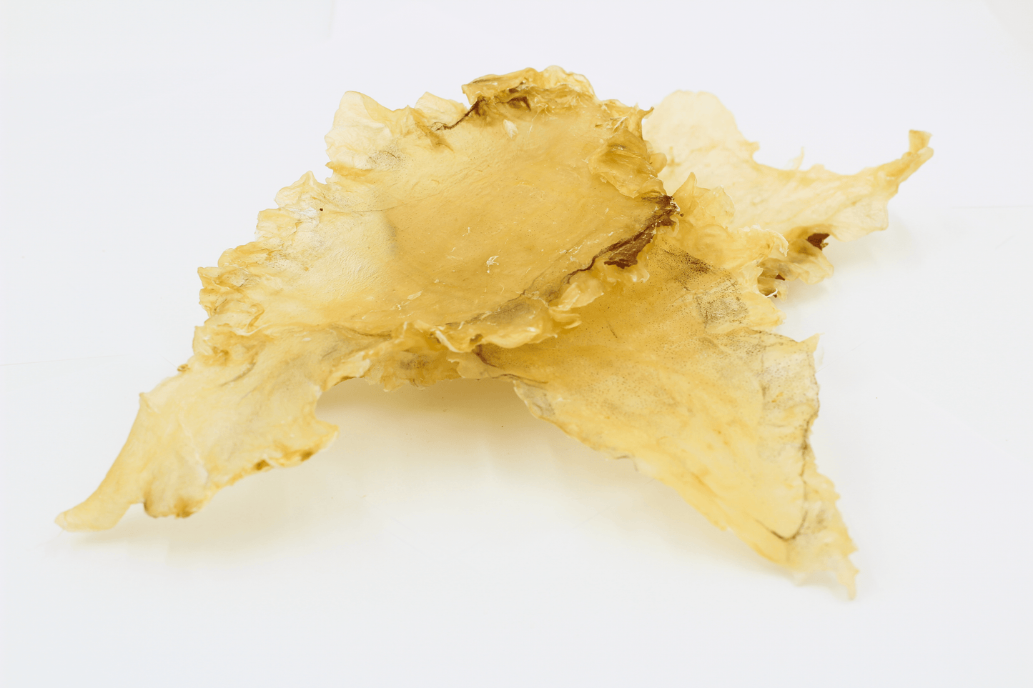 【北美当地配送,直邮全球】北极冰鳕鱼花胶-加拿大花胶源头工厂出产-带膜无化学漂染-超大规格7-9片(袋/227克)