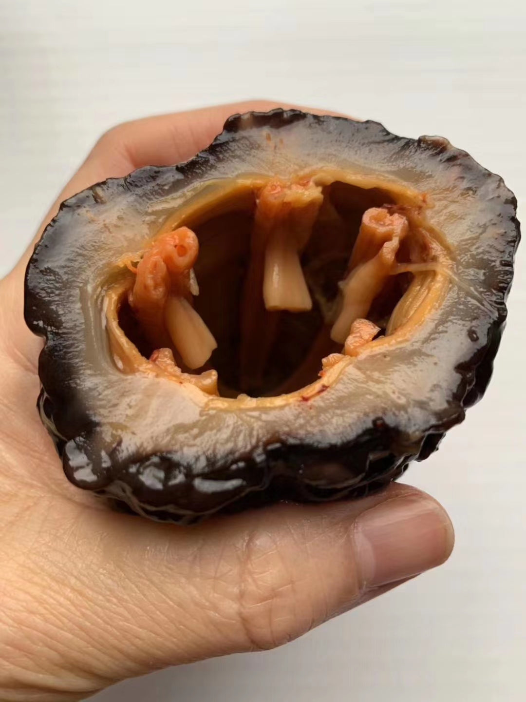 【北美当地配送,直邮全球】加拿大海参-北极冰参王-超大号约18-22头(袋/454g)