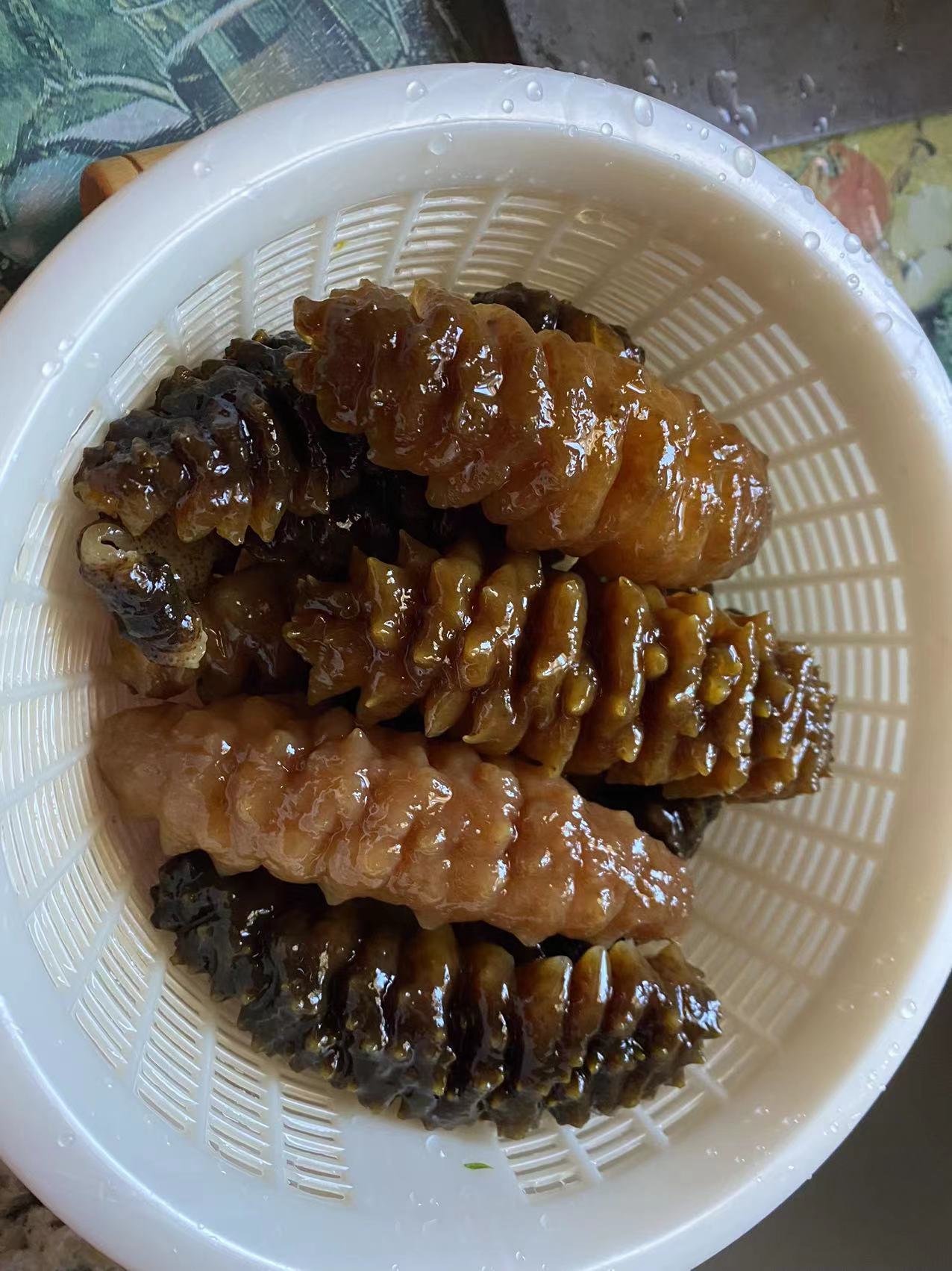 【中国取货,免运费和关税】北美野生辽参(4-6排刺灰刺参)-超大号5-10条每袋227克