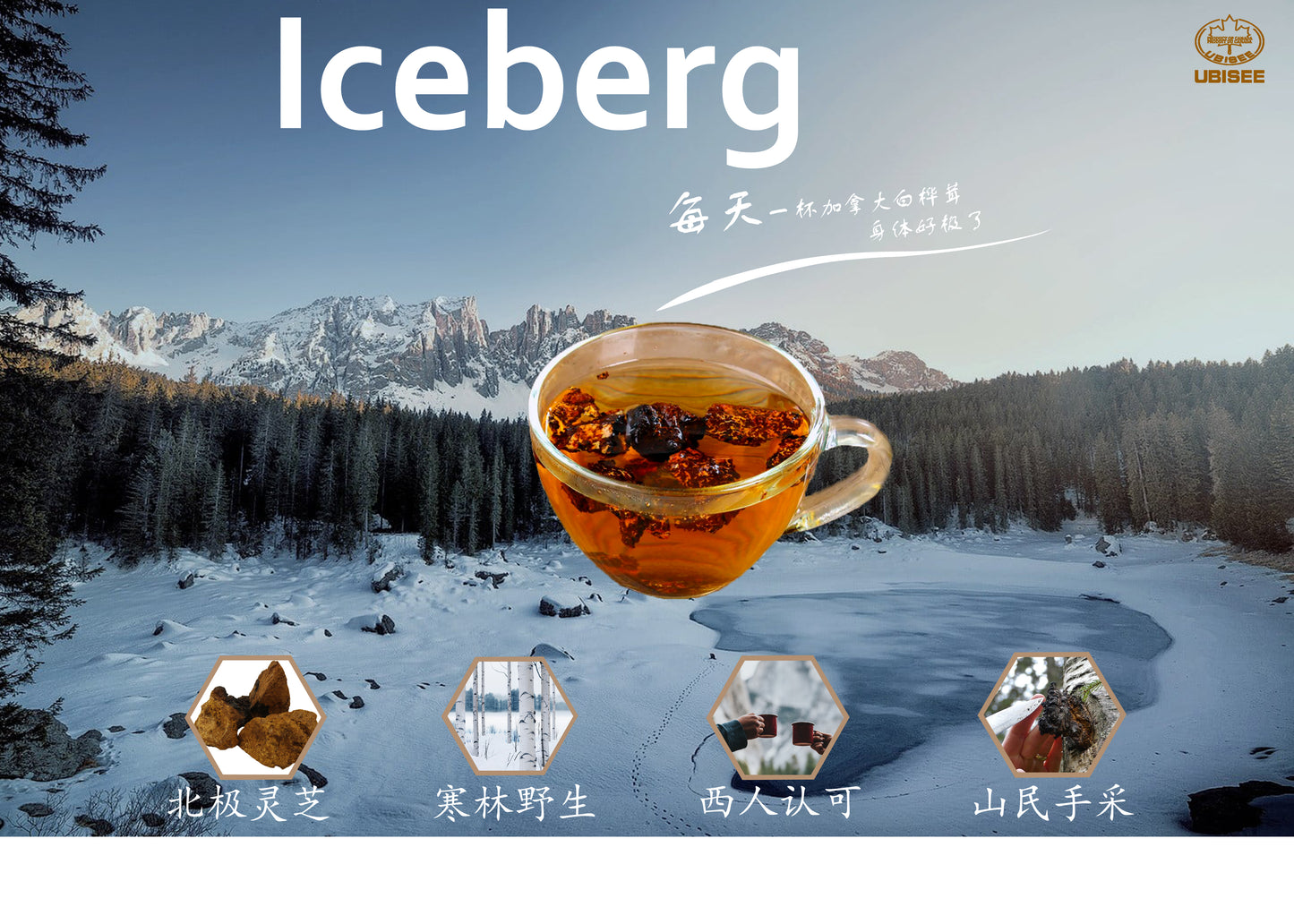 【北美当地配送,直邮全球】加拿大白桦茸西洋参(花旗参)茶包,9克一包(20包/盒)