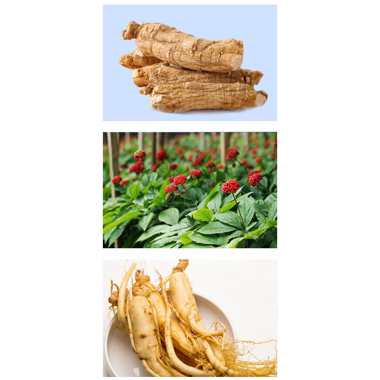 【北美当地配送，直邮全球】加拿大白桦茸西洋参（花旗参）茶包，9克一包（20包/盒）（副本）